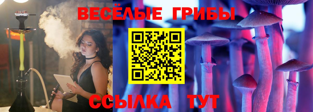 Галлюциногенные грибы Magic Shrooms Волжский